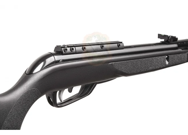 Винтовка пневматическая Gamo BLACK 1000 IGT Фото 2