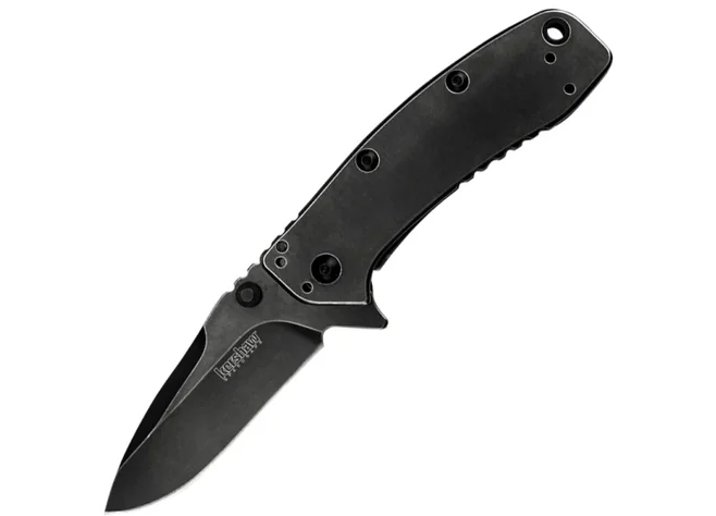 Нож Kershaw Cryo II SS folder Blackwash Фото 1