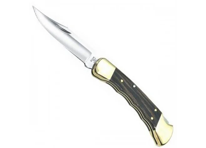 Ніж Buck "Folding Hunter", 95 мм Фото 1