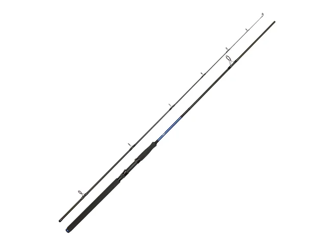 Спиннинг Golden Catch Passion Power 3.00m 40-125g Фото 1