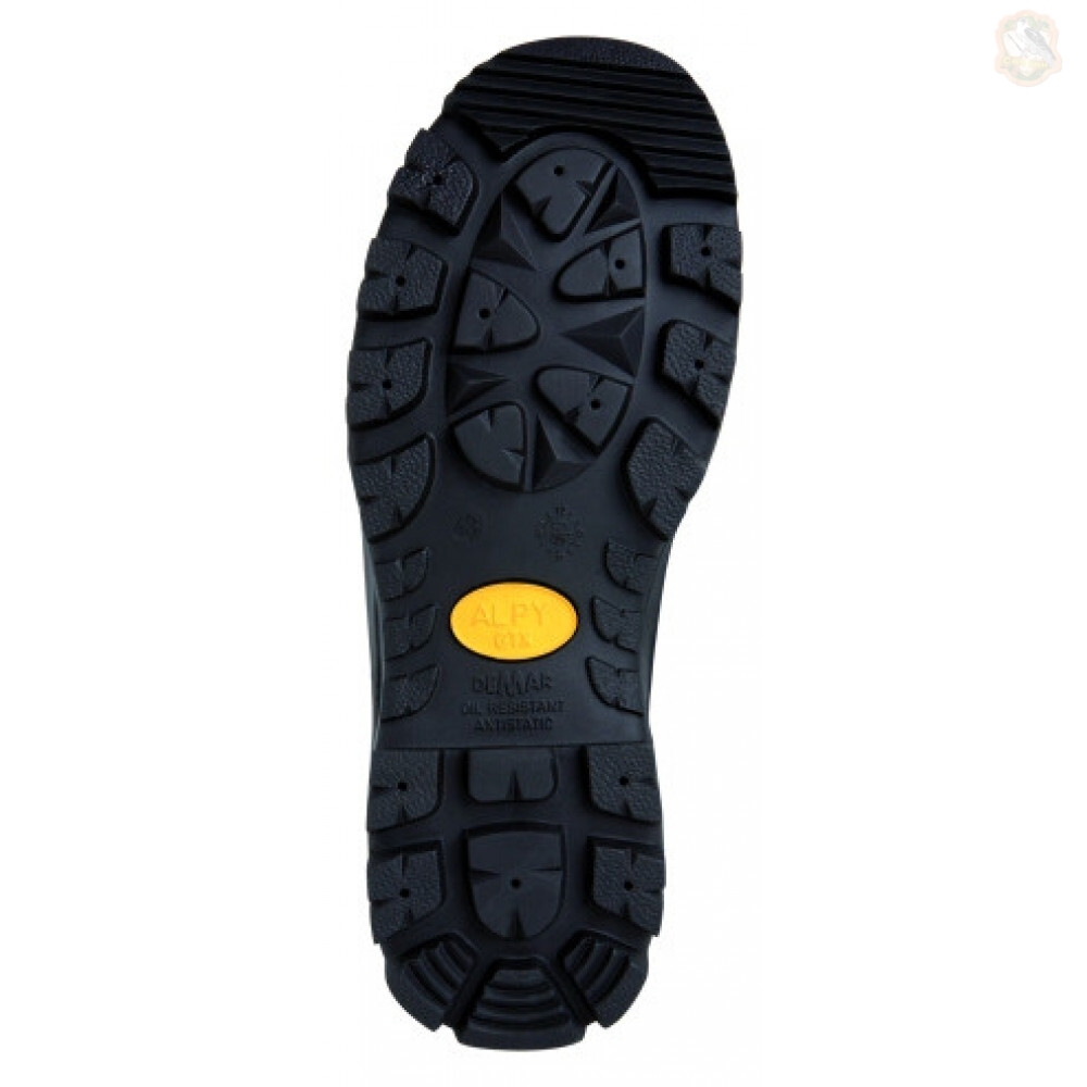 Черевики Demar ALPY GTX (-70°) Фото 2