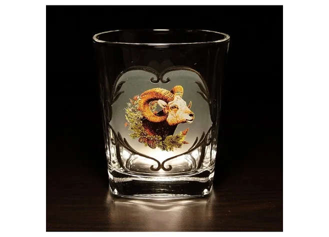 Набор Jagerglass Бутылка + стаканы для виски М21 Фото 2