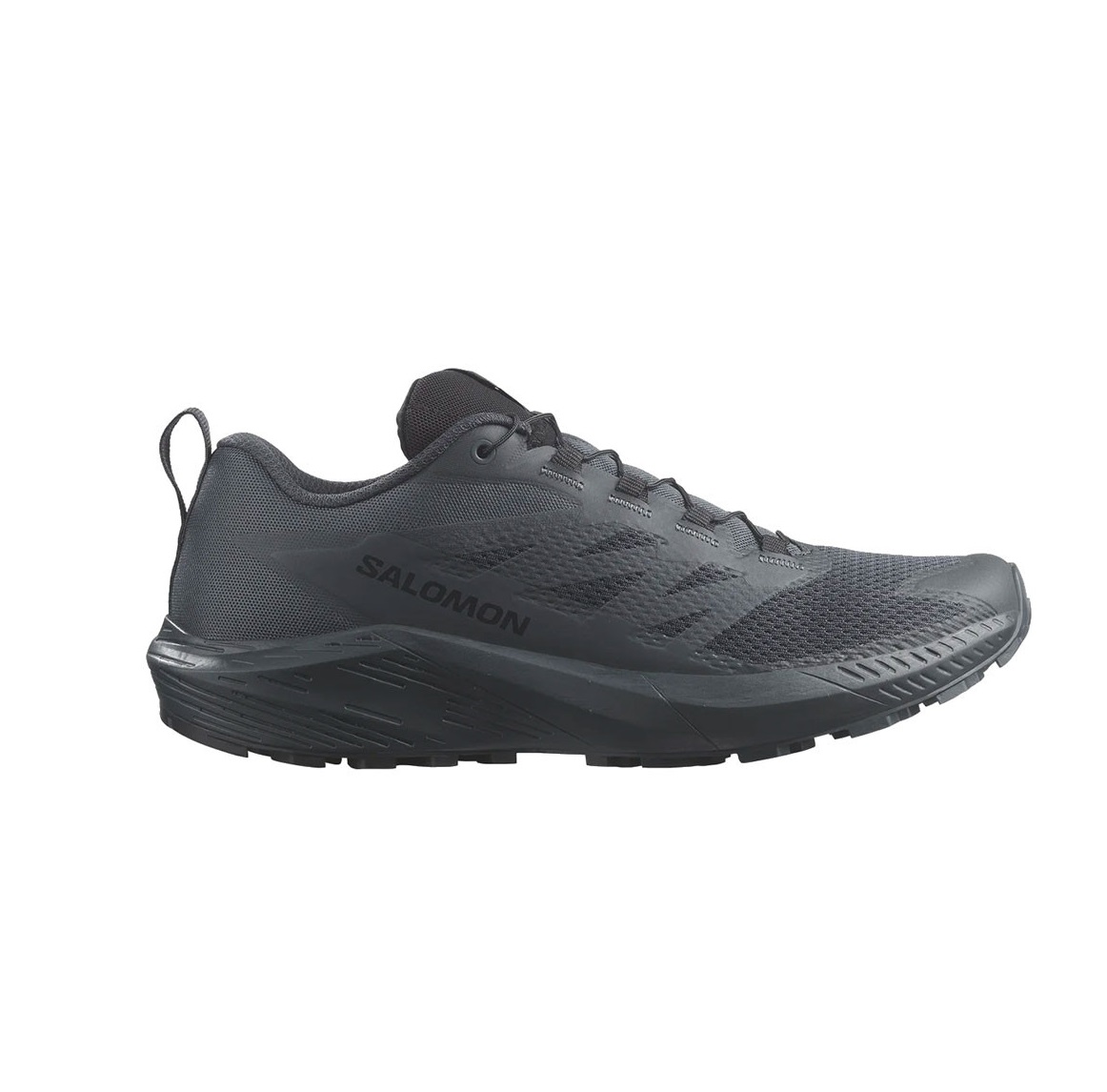 Кросівки Salomon Sense Ride 5 SR Indink Фото 1