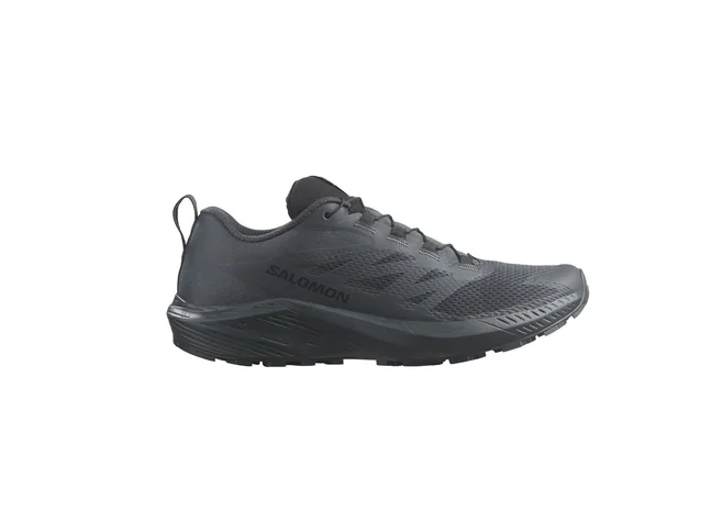 Кросівки Salomon Sense Ride 5 SR Indink Фото 1