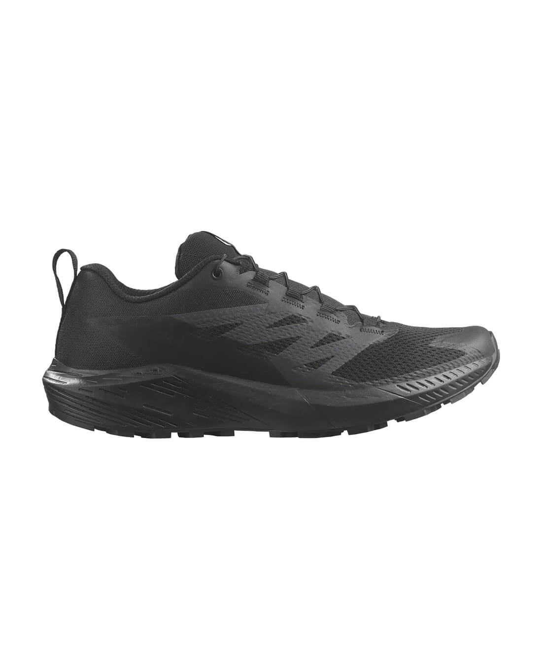 Кросівки Salomon Sense Ride 5 SR Black Фото 1