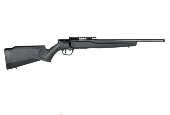 Гвинтівка малокаліберна Savage B17 FV-SR кал.17 HMR 16.25" 1/2"-28 Фото 1