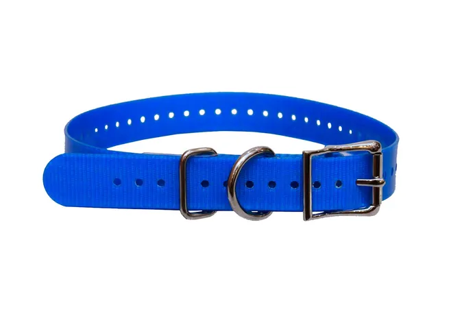 Нашийник SportDog W1,9 см синій Фото 1