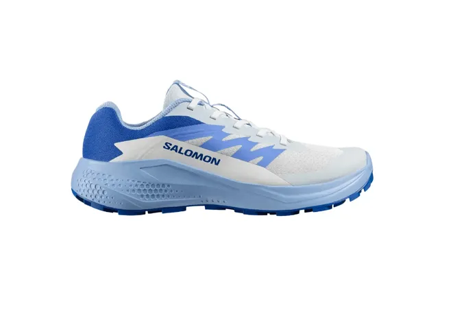 Кросівки Salomon ALPHAGLIDE Women Ancientwater/Brunnerablue Фото 1