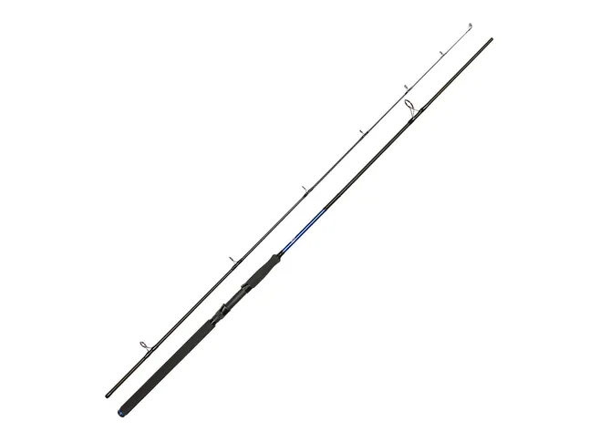 Спиннинг Golden Catch Passion Power 2.70m 40-125g Фото 1