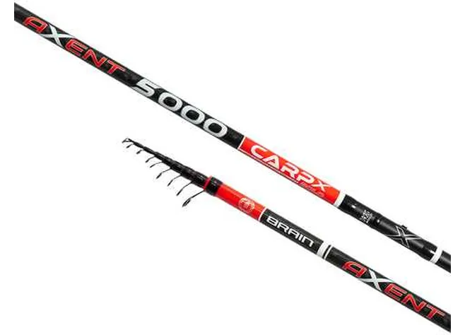 Вудилище болонське Brain Axent Carp Bolo 5.00m 50-150g Фото 1