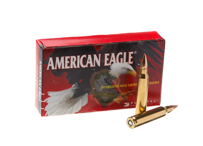 Патрон Federal American-Eagle 223rem FMJ BT 3,56гр (55GR) Фото 1