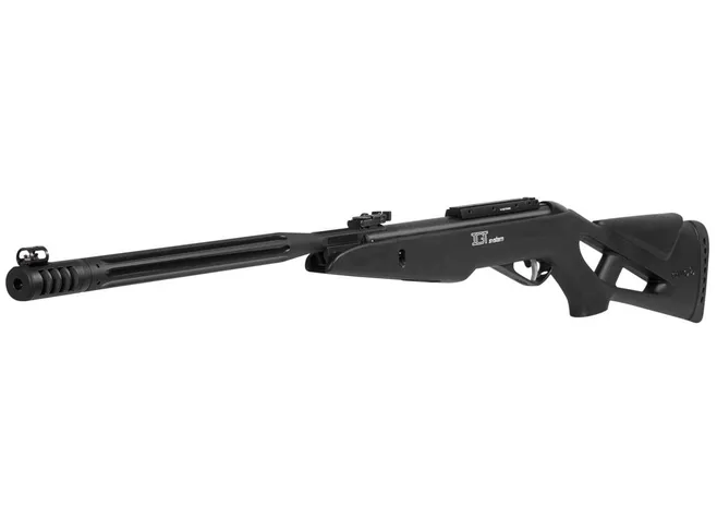 Гвинтівка пневматична Gamo WHISPER MAXXIM IGT Фото 2