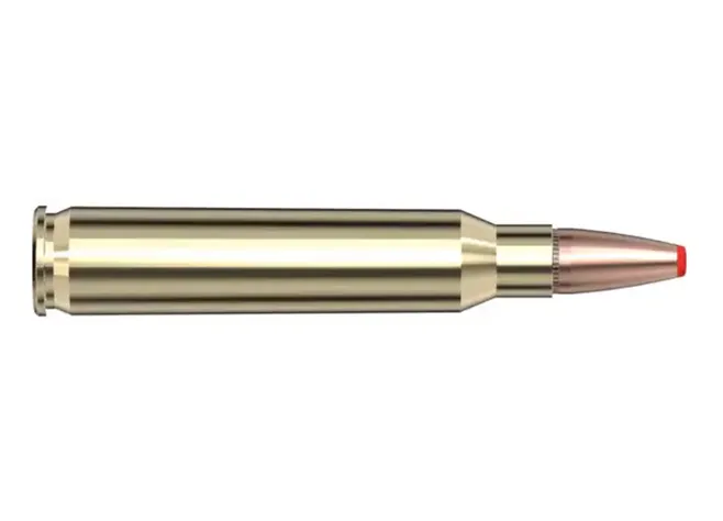 Патрон Hornady Critical Defense кал. 223 Rem куля FTX маса 73 гр (4,73 г) Фото 2