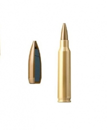Набій Sellier & Bellot 223 Rem HPBT 4,5 гр