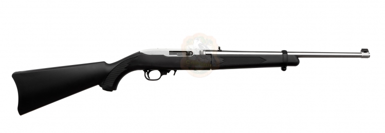 Карабін RUGER 10/22 TAKEDOWN 22LR