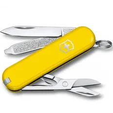 Складаний ніж Victorinox CLASSIC SD Colors 0.6223.8G