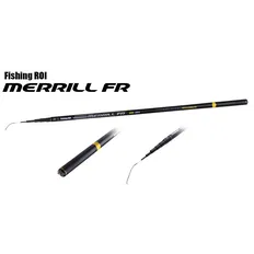Телескопічне махове вудлище Fishing ROI Merrill б/к 4.20m до 25гр