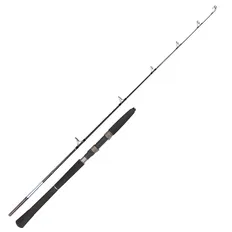 Спінінг Golden Catch Rocky Catfish 1.65м