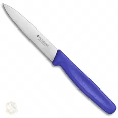 Ніж кухонний Victorinox Standart 10 см, синій