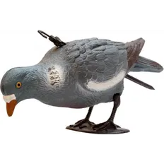 Підсадний голуб Birdland, годуєт.