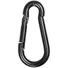 Карабін Skif Outdoor Clasp I. 35 кг Фото 1