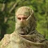 Маскувальний шарф-сітка CamoTec SFVS Multicam Фото 1