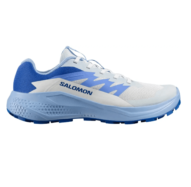Кросівки Salomon ALPHAGLIDE Women Ancientwater/Brunnerablue Фото 1