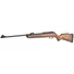 Гвинтівка пневматична Gamo Hunter 440 Фото 1