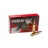 Патрон Federal American-Eagle 223rem FMJ BT 3,56гр (55GR) Фото 1