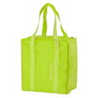 Термосумка GIOSTYLE Fiesta Vertical lime 25 л Фото 1