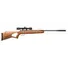 Гвинтівка пневматична Crosman "Titan NP" з опт. прицілом Фото 1
